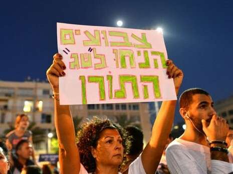 צילום: יוסי זליגר צילום: יוסי זליגר