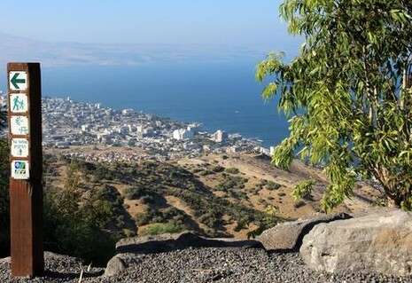 צילום: יעקב שקולניק צילום: יעקב שקולניק