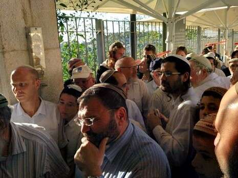 צילום: ארנון סגל צילום: ארנון סגל