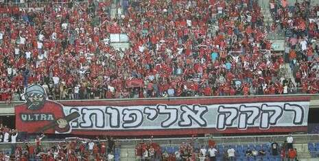 צילום: דני מרון צילום: דני מרון