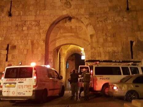 צילום: דוברות מד''א צילום: דוברות מד''א