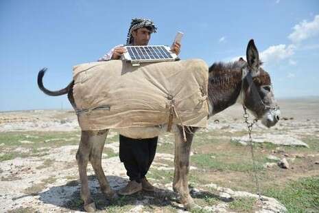 צילום: Getty Images צילום: Getty Images