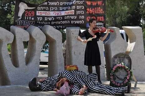 צילום: אירה מאק ונטלי ארפי צילום: אירה מאק ונטלי ארפי