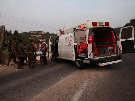 צילום: מיכל אביאור TPS צילום: מיכל אביאור TPS