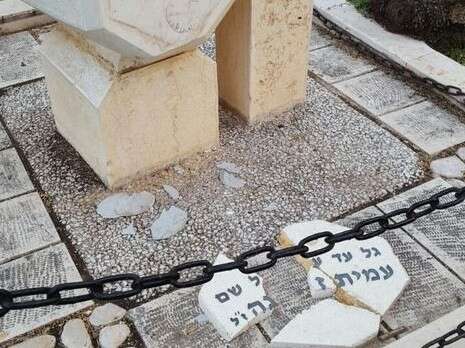 צילום: מרדכי זנה צילום: מרדכי זנה