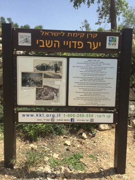 צילום: דו''צ צילום: דו''צ