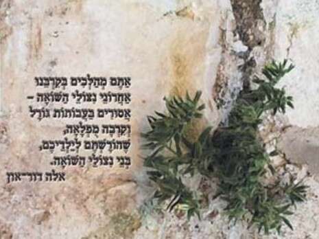 עטיפת הספר עטיפת הספר