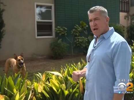 צילום: מתוך CBS Los Angeles צילום: מתוך CBS Los Angeles