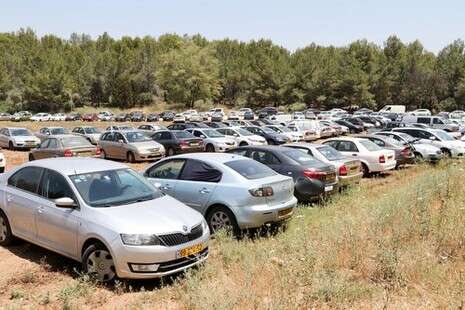צילום: דני מרון צילום: דני מרון