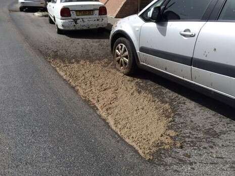 צילום: כב''ה ירושלים צילום: כב''ה ירושלים