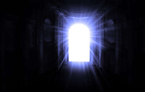 צילום: SHUTTERSTOCK צילום: SHUTTERSTOCK