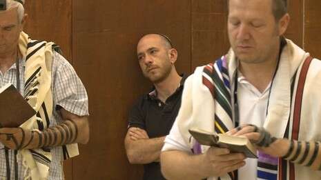 צילום: שוקי גוזיק צילום: שוקי גוזיק