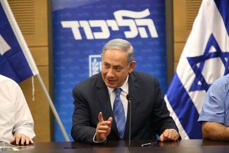 צילום: דודי ועקנין צילום: דודי ועקנין