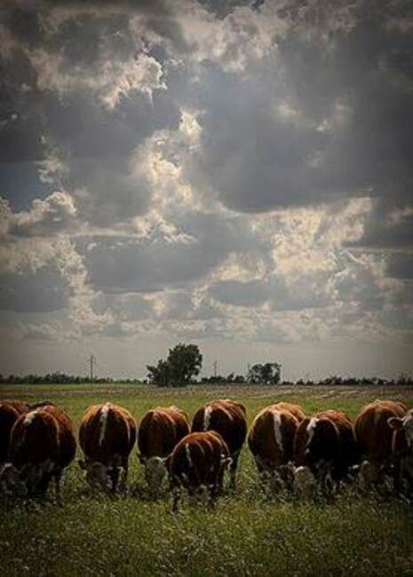 Abby Bischoff, Flickr Abby Bischoff, Flickr