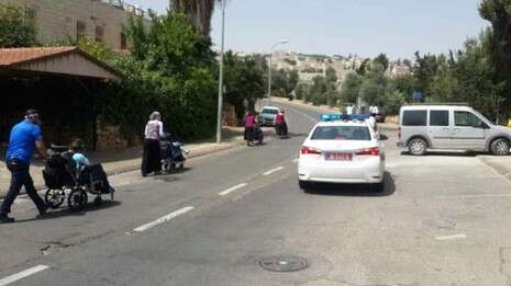 צילום: נטעאל בנדל צילום: נטעאל בנדל