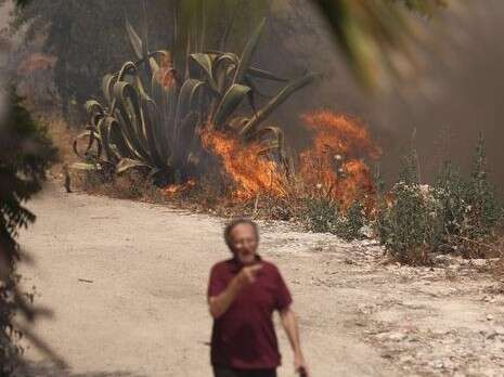 צילום: יונתן זינדל/פלאש 90 צילום: יונתן זינדל/פלאש 90