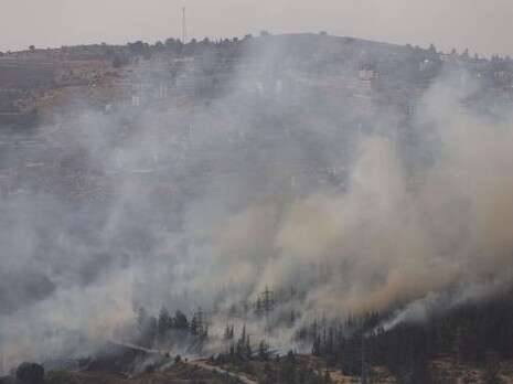 צילום: יונתן זינדל, פלאש 90 צילום: יונתן זינדל, פלאש 90