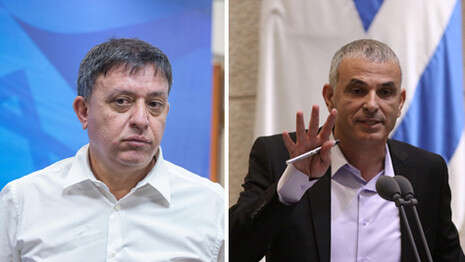 צילום: אמיל סלמן / דוברות הכנסת צילום: אמיל סלמן / דוברות הכנסת