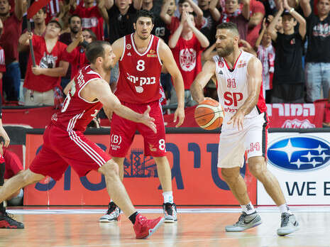 צילום: מנהלת הליגה בכדורסל צילום: מנהלת הליגה בכדורסל