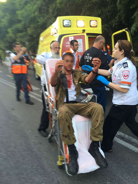 צילום: אבי כהן, ישראל היום צילום: אבי כהן, ישראל היום