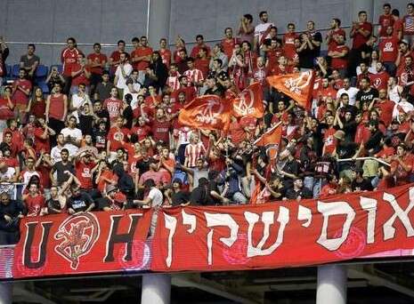 צילום: אלן שיבר צילום: אלן שיבר
