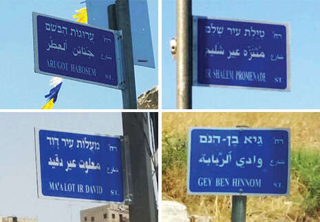 צילום: אריה קינג צילום: אריה קינג