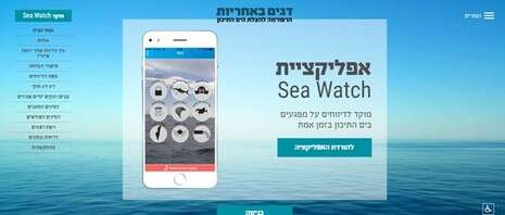 צילום מסך צילום מסך