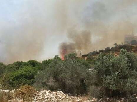 צילום: חופי עמוס צילום: חופי עמוס