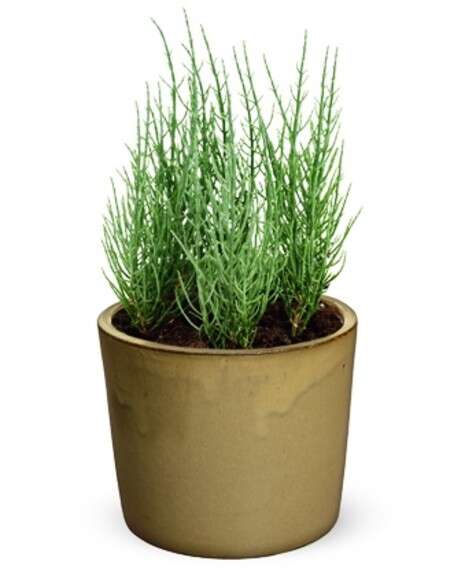 ''