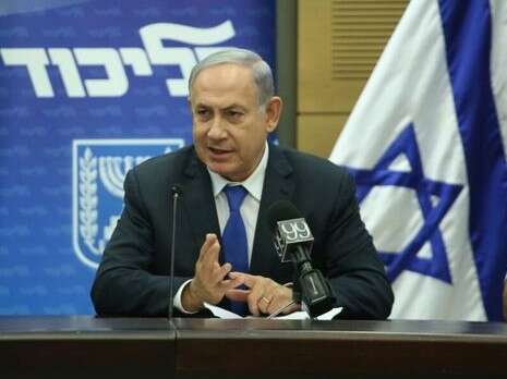 צילום: מירי צחי צילום: מירי צחי