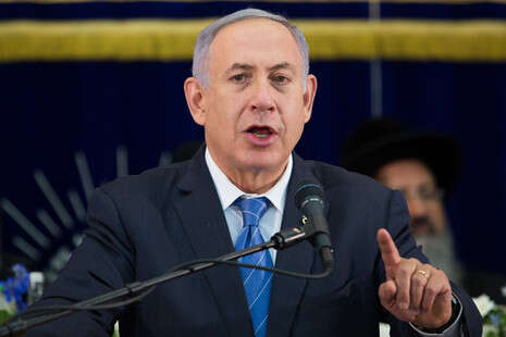 צילום: נעם ריבקין פנטון צילום: נעם ריבקין פנטון