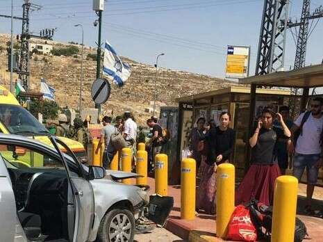 צילום: הצלה יו''ש צילום: הצלה יו''ש