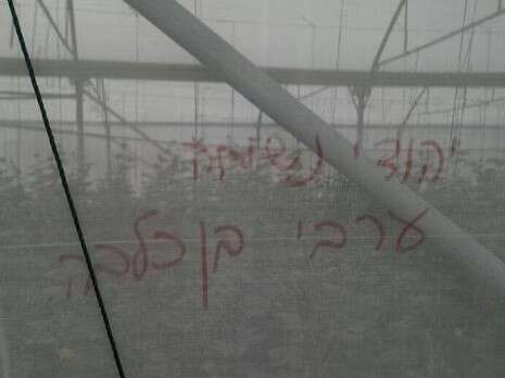 צילום: בית ספר שדה כפר עציון צילום: בית ספר שדה כפר עציון