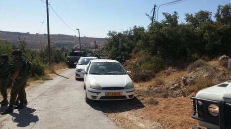 צילום: TPS צילום: TPS