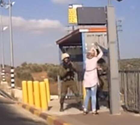 צילום: מתוך הווידאו צילום: מתוך הווידאו