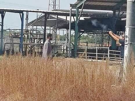 צילום: רם חכמון צילום: רם חכמון