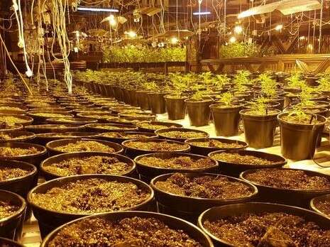 צילום: דוברות המשטרה צילום: דוברות המשטרה