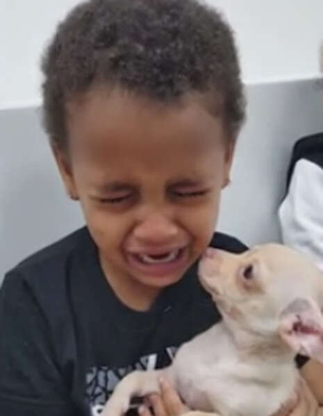 ����� ���: ���� ������