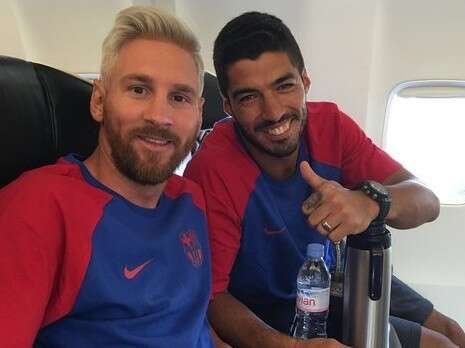 �����: ��������