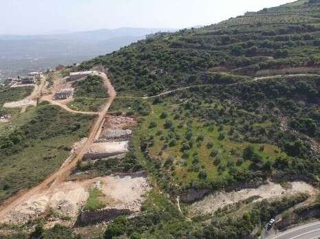 צילום: תנועת רגבים