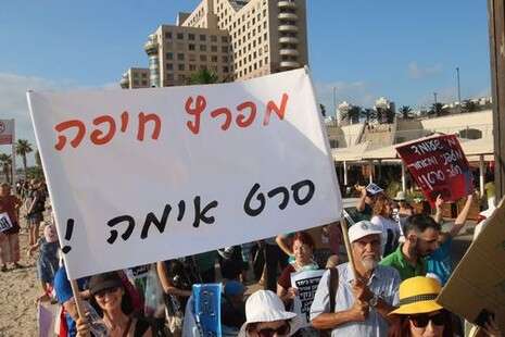 צילום: הרצי שפירא צילום: הרצי שפירא