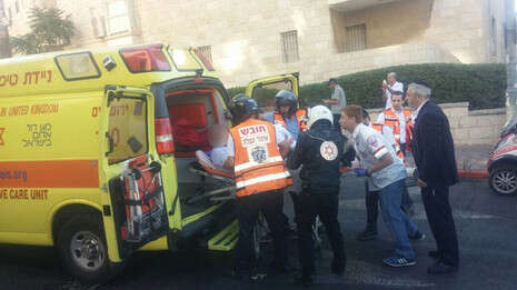 צילום: צבי לב/ TPS צילום: צבי לב/ TPS