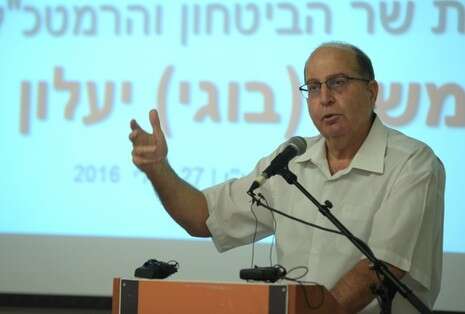 צילום: יוסי זליגר צילום: יוסי זליגר