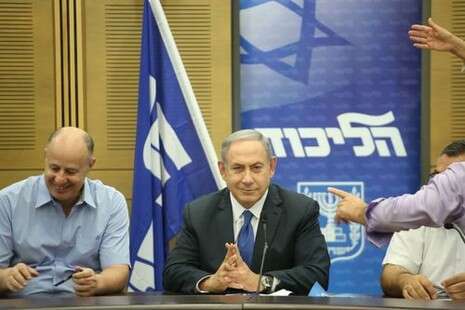 צילום: מירי צחי צילום: מירי צחי