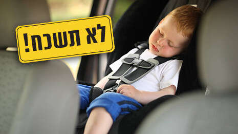 צילום: שאטרסטוק צילום: שאטרסטוק