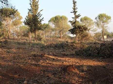 צילום: ירון רוזנטל - בית ספר שדה כפר עציון צילום: ירון רוזנטל - בית ספר שדה כפר עציון