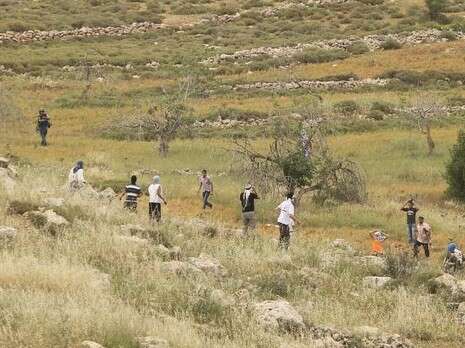 צילום: מירי צחי צילום: מירי צחי