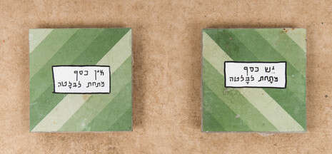 צילום: ברק ברינקר צילום: ברק ברינקר
