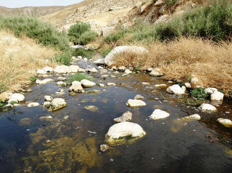 צילום: דב גרינבלט צילום: דב גרינבלט