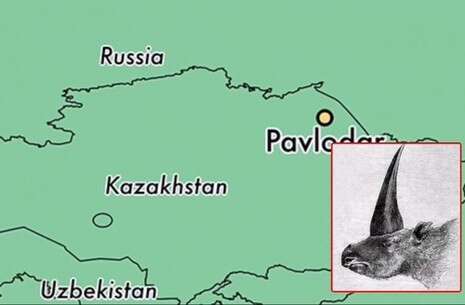 ����� ��� ���� ������